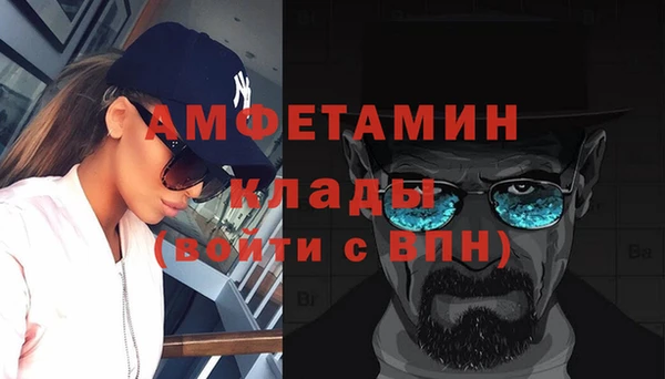 молекула духа Каменка