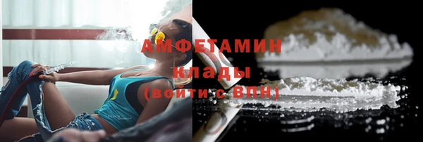 молекула духа Каменка