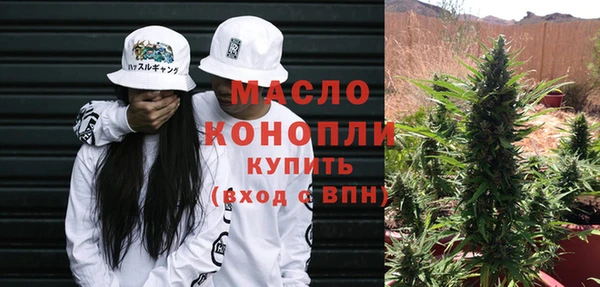 тгк Каменногорск