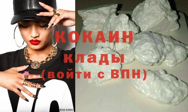тгк Каменногорск