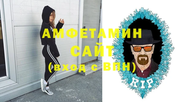 молекула духа Каменка