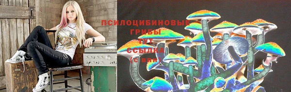 тгк Каменногорск