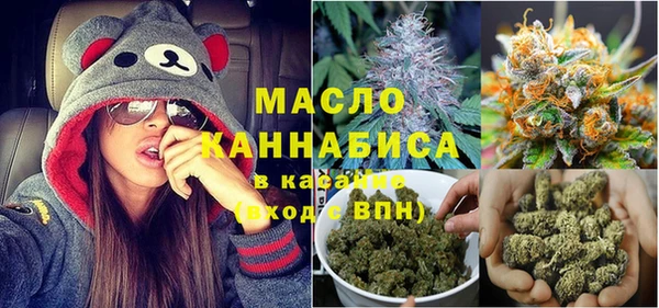 тгк Каменногорск