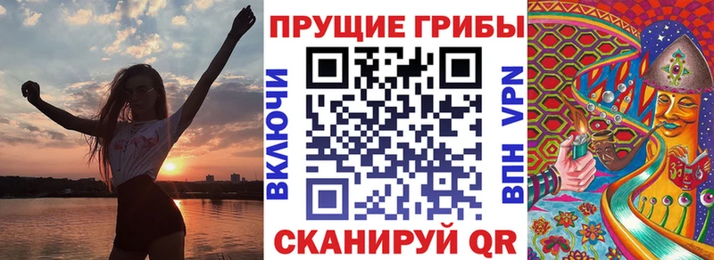 Купить  Лермонтов  Галлюциногенные грибы MAGIC MUSHROOMS 